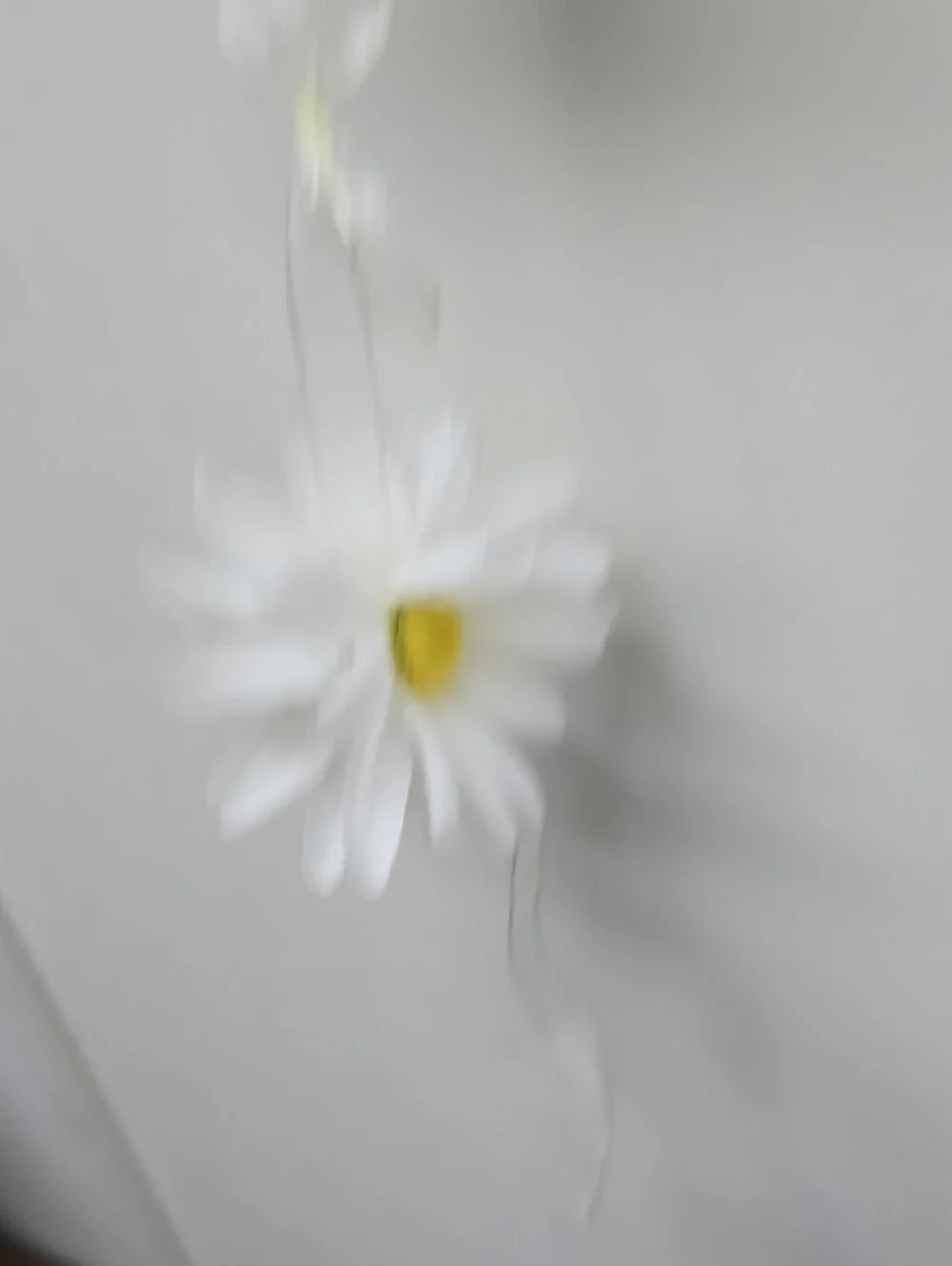 Daisy Flower Garland Strand — White with Yellow Centers